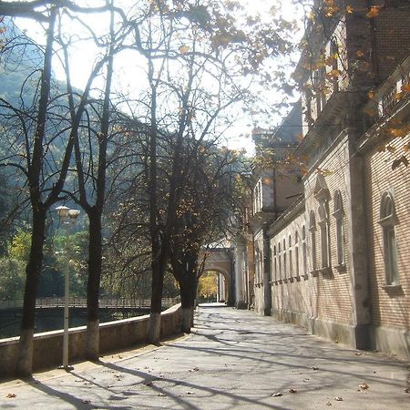 Pensiunea Floare De Colt Hotel Băile Herculane Eksteriør billede