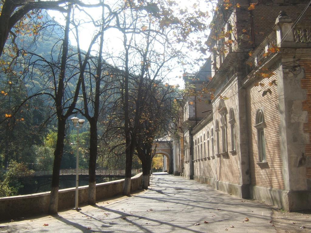 Pensiunea Floare De Colt Hotel Băile Herculane Eksteriør billede