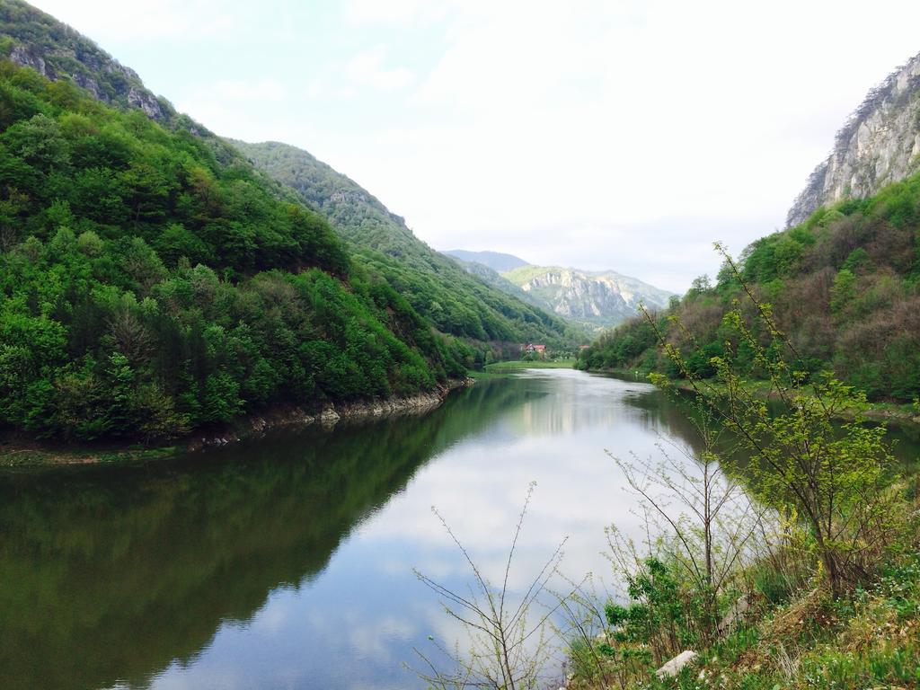Pensiunea Floare De Colt Hotel Băile Herculane Eksteriør billede