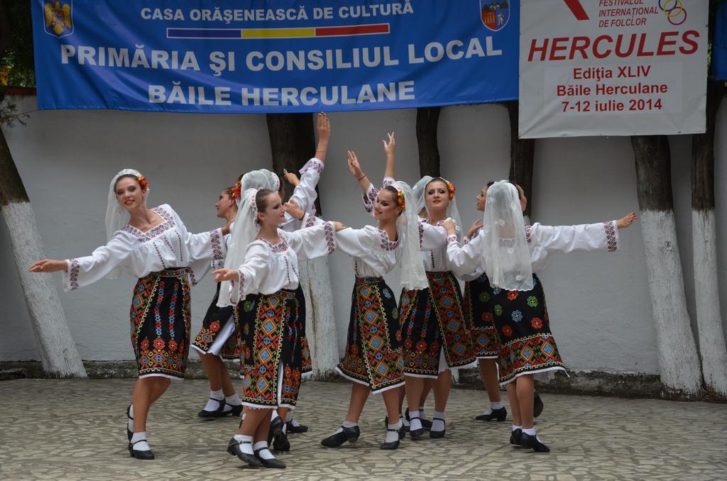 Pensiunea Floare De Colt Hotel Băile Herculane Eksteriør billede